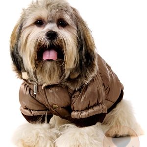 Urban Pup Luxury Quilted Parka with Detachable Hood – Sepia Brown