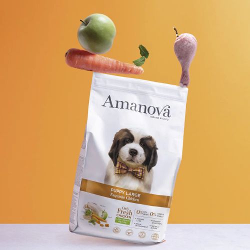 AM Puppy – Large Exquisite Chicken - Afbeelding 3