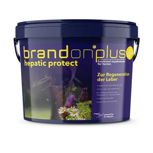 Brandon® plus Hepatic Protect - Ondersteunt het herstel van de levercellen