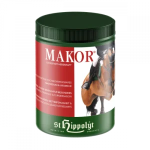 Makor - Lossigheid en een sterk hart